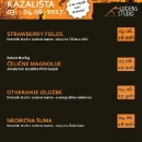 Gostovanje Amaterskog kazališta Gospić u Koprivnici