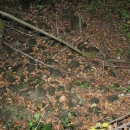 Gacke mlinice: Malcetina malenica (6)