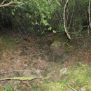 Gacke mlinice: Malcetina malenica (6)