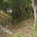 Gacke mlinice: Malcetina malenica (6)