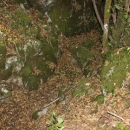 Gacke mlinice: Malcetina malenica (6)