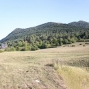 Gacke mlinice: Malcetina malenica (6)
