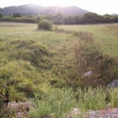 Gacke mlinice: Malcetina malenica (6)