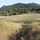 Gacke mlinice: Malcetina malenica (6)