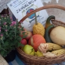 Pri kraju program Izbora za najuzorniju seosku ženu