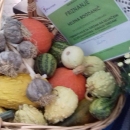 Pri kraju program Izbora za najuzorniju seosku ženu