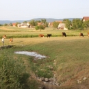 Gacke mlinice - Ivelićeva malenica (5)