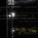 Fascinantan uron u svijet Japoda