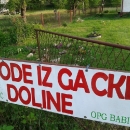 Sezona gackih jagoda u punom jeku