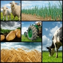 LAG Frankopan - Javni poziv " Potpora razvoju malih poljoprivrednih gospodarstva "