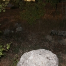 Gacke mlinice: Malcetina malenica (6)