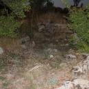 Gacke mlinice: Malcetina malenica (6)