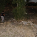 Gacke mlinice: Malcetina malenica (6)