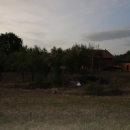 Gacke mlinice: Malcetina malenica (6)