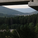 Šljive i kukuruzi namamili medu