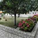 Najljepše okućnice Grada Senja za 2017.g.