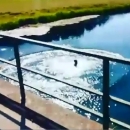 Skok na skok - u Gacku!