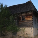Gacke mlinice: Malcetina malenica (6)