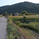 Gacke mlinice: Malcetina malenica (6)