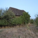 Gacke mlinice: Malcetina malenica (6)