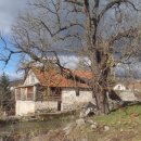 Gacke mlinice: nezaboravni Ćićini zapisi (4)