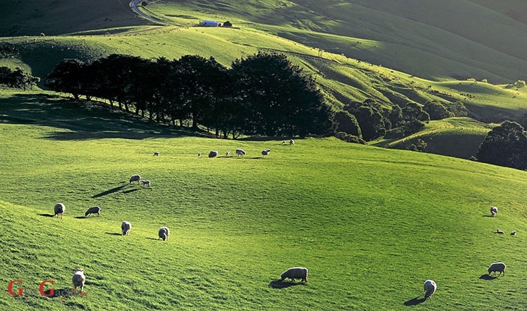Potpora seljacima kreće u veljači