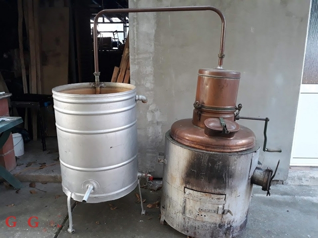 To ti je uređena država, nema trte-mrte!