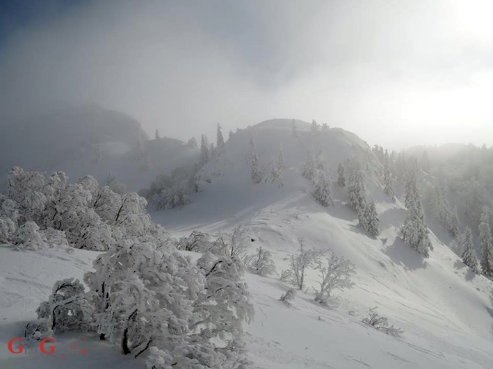 To mogu doista rijetki
