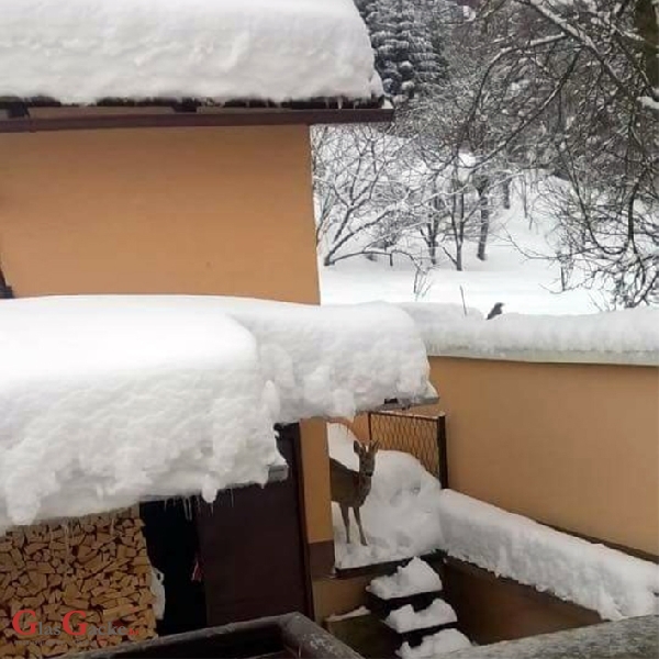 Red je skloniti se od visoka snijega