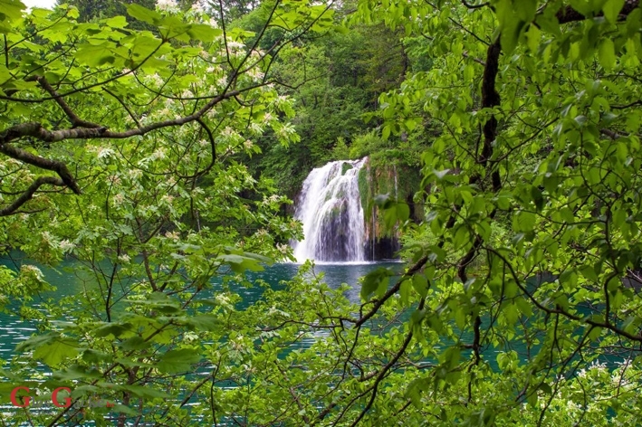 Obilježen Tjedan parkova Hrvatske u NP Plitvička jezera Obilježen Tjedan parkova Hrvatske u NP Plitvička jezera