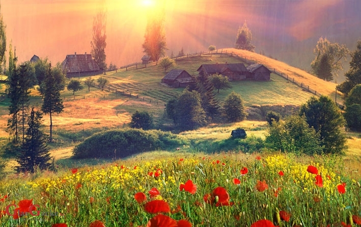 Bespovratna sredstva za ruralni razvoj Bespovratna sredstva za ruralni razvoj
