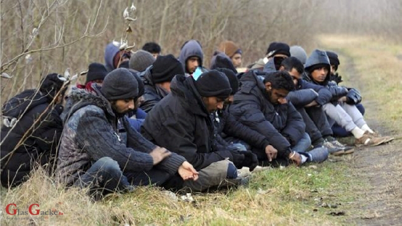 Nijemci traže obavezni seksualni odgoj za izbjeglice koje dolaze Nijemci traže obavezni seksualni odgoj za izbjeglice koje dolaze
