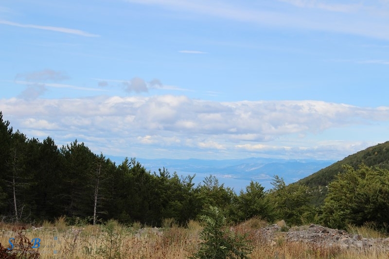 Velebitske šume - Svjetska prirodna baština 