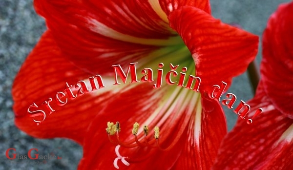 Majčin dan – Drage majke, sretan vam vaš dan