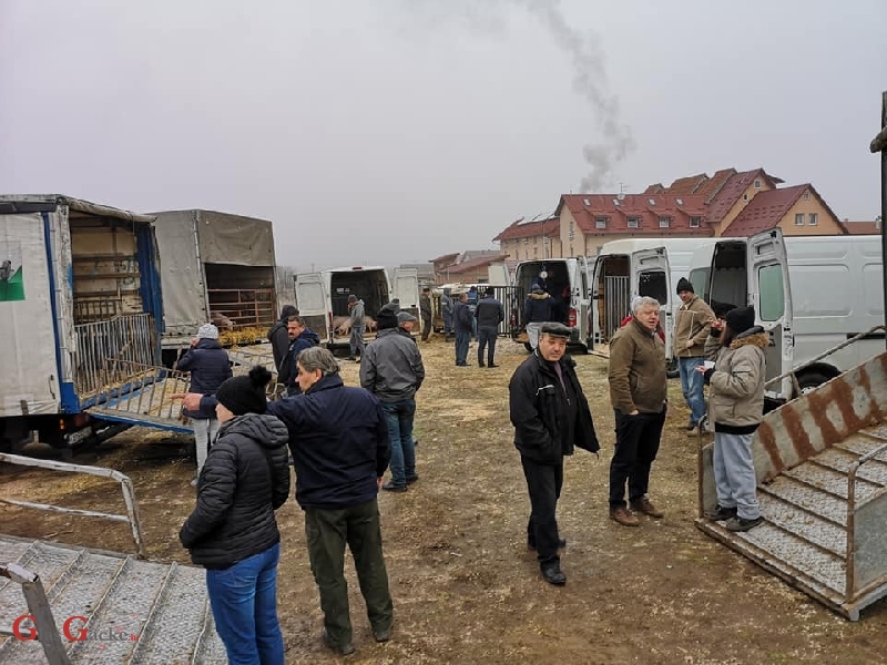 Srijeda sajmeni dan u Otočcu 