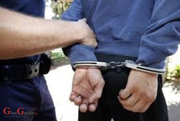 Uhićen policajac PU Zagrebačke zbog šverca 18 Pakistanaca 