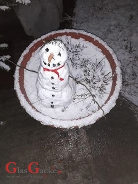 Iz petnjaka rastu i... snjegovići