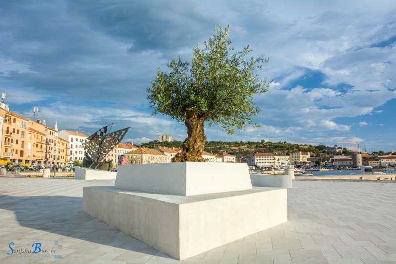 Akcija "Drenjula" - pobjeda običnoga vojnika                                     