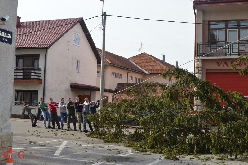 Zašto su uklonjene srednjoškolske smreke? 