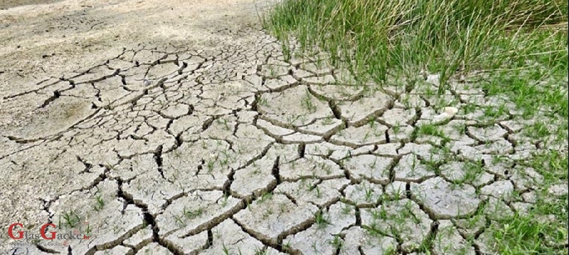 Općina Brinje započela s isplatom naknade od štete za elementarnu nepogodu sušu 