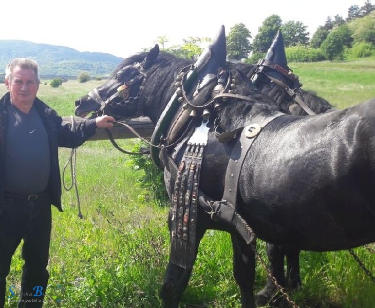 Smotra konja u Krivom putu 