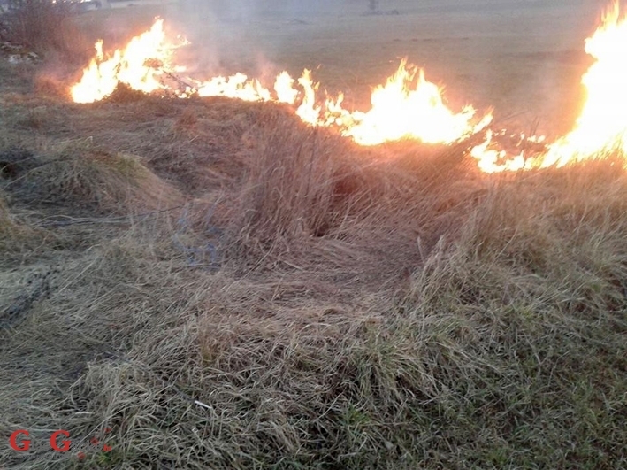 (Ne)kontrolirana paljenja suhe trave i korova