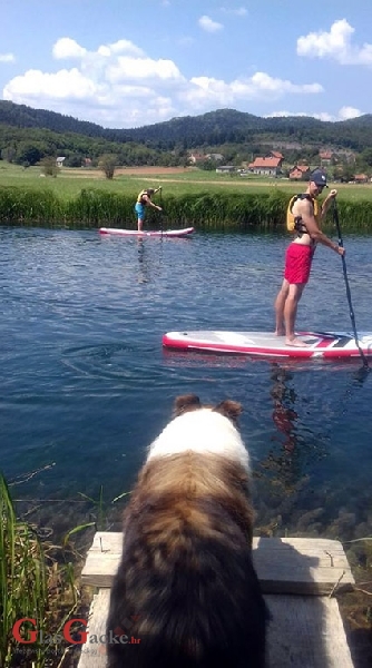 SUP na rijeci Gacki - a Lassie promatra