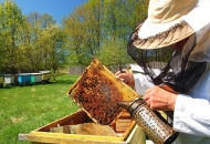 Pčelarima više europskog novca