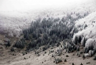 Međunarodni dan planina u Krasnu Međunarodni dan planina u Krasnu