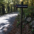 Znanstvena senzacija: na Velebitu led stariji od 3.500 godina