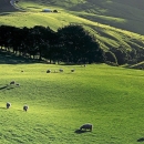 Potpora seljacima kreće u veljači