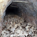 Vrijeme je da pitamo i osloboditelje iz 1945. hoće li se pokajati za svoje zločine?