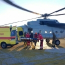 Drvosječu prignječilo stablo