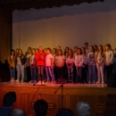 Glazbeno-scenska predstava “Bitka za Vukovar – kako smo branili Grad i Hrvatsku” razgalila srca u gradu podno Nehaja